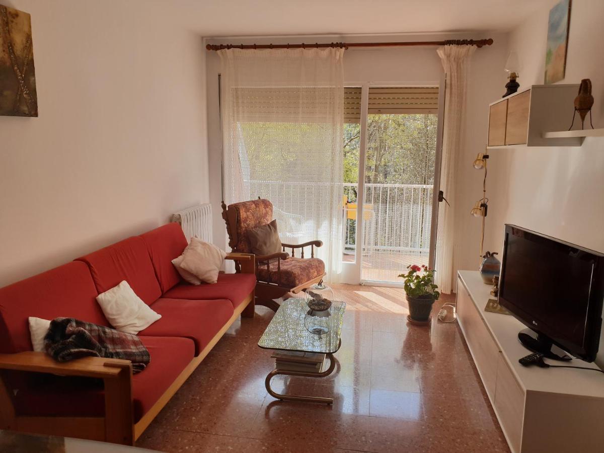 Ferienwohnung Ca La Rita Castellfollit de la Roca Exterior foto