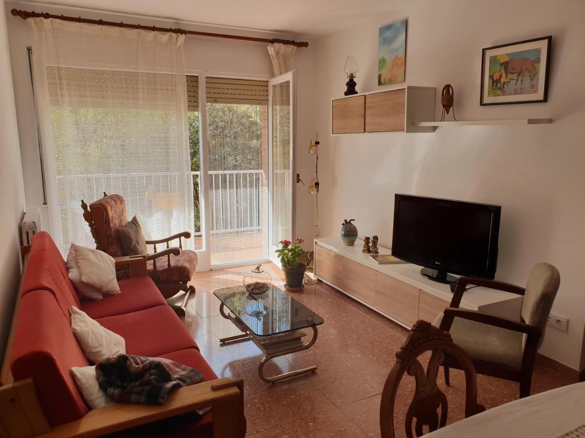 Ferienwohnung Ca La Rita Castellfollit de la Roca Exterior foto